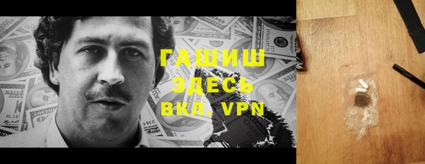 гидра Елизово