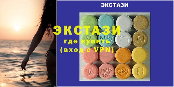 стаф Ельня