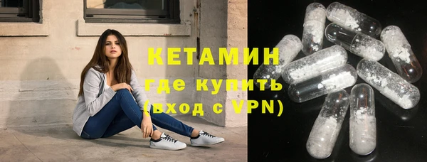 стаф Ельня