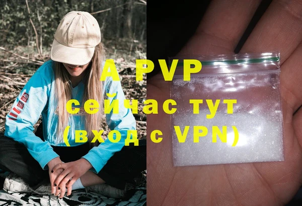 шишки Елабуга