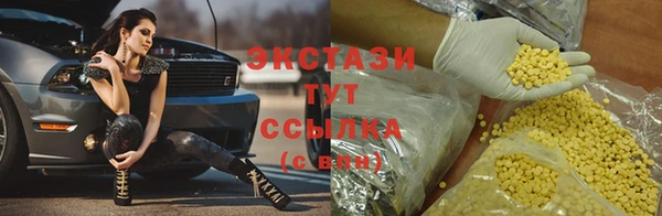гидра Елизово