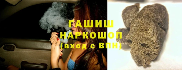 гидра Елизово