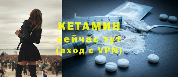 стаф Ельня