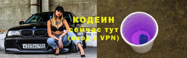 гидра Елизово