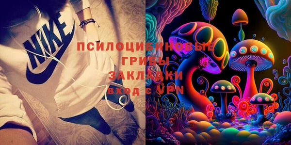 гидра Елизово