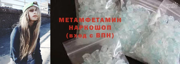 гидра Елизово