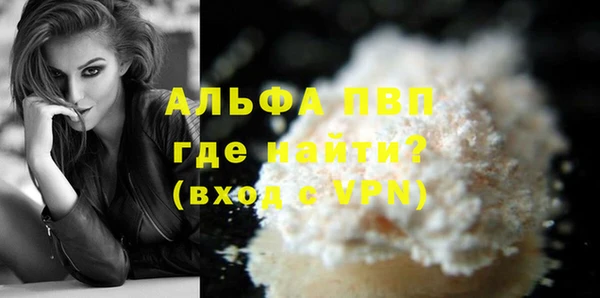 стаф Ельня