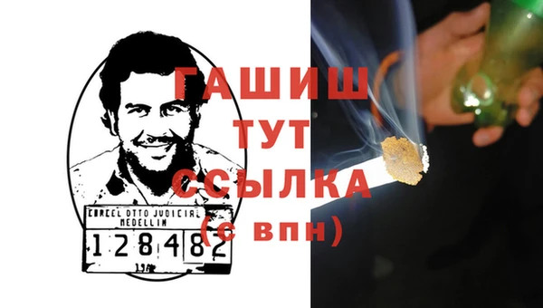 стаф Ельня