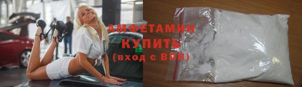 гидра Елизово