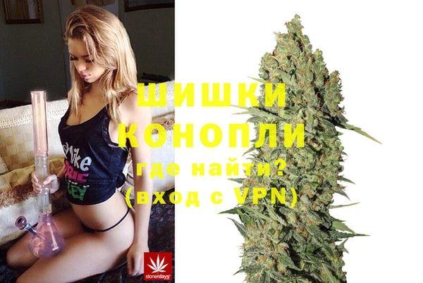 гидра Елизово