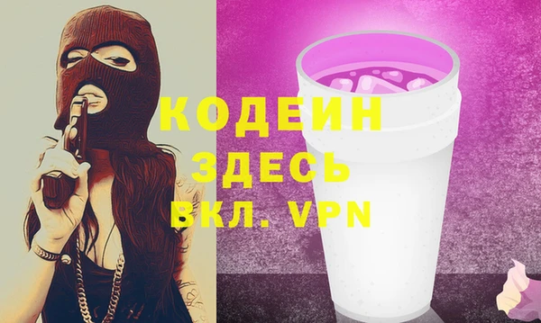 стаф Ельня