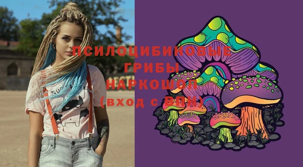 шишки Елабуга
