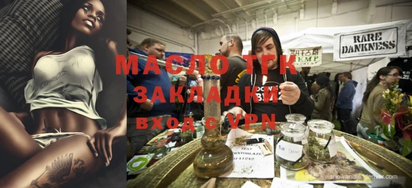 стаф Ельня