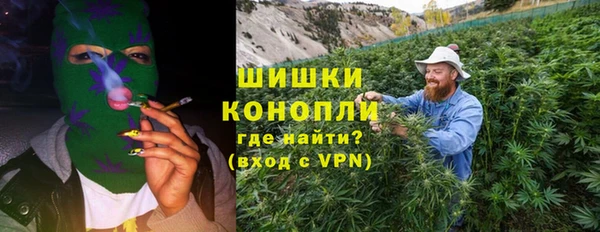 стаф Ельня