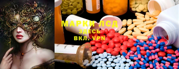 шишки Елабуга