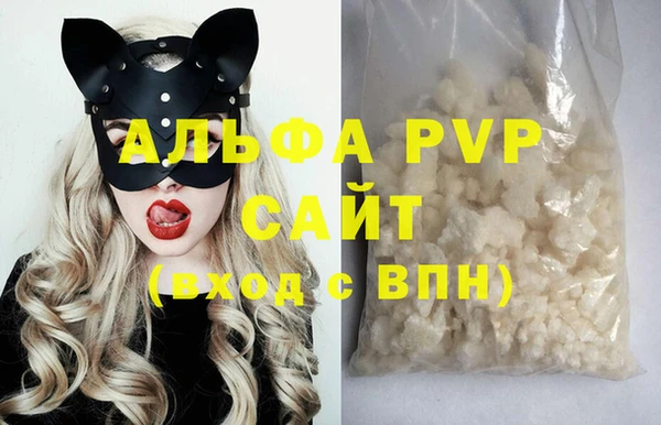 стаф Ельня