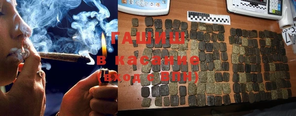 стаф Ельня