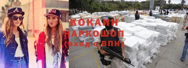 стаф Ельня
