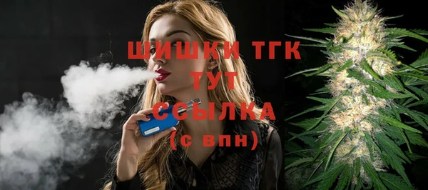 гидра Елизово