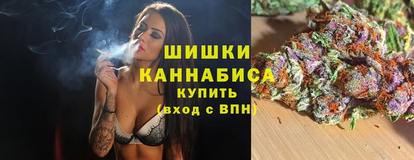 стаф Ельня
