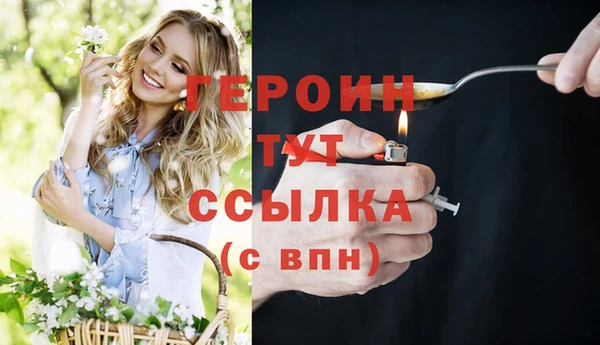 гидра Елизово