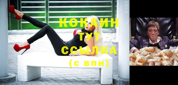 гидра Елизово