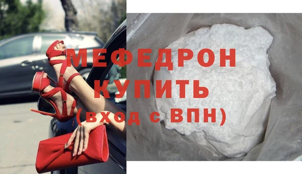 стаф Ельня