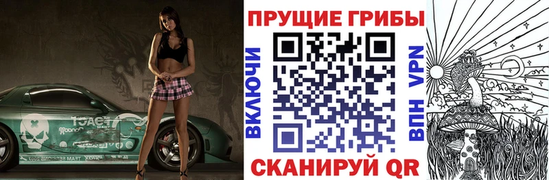 дарнет шоп Миллерово Псилоцибиновые грибы прущие грибы