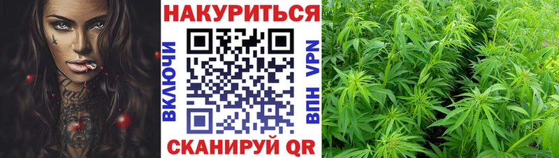 Конопля гибрид  Миллерово 